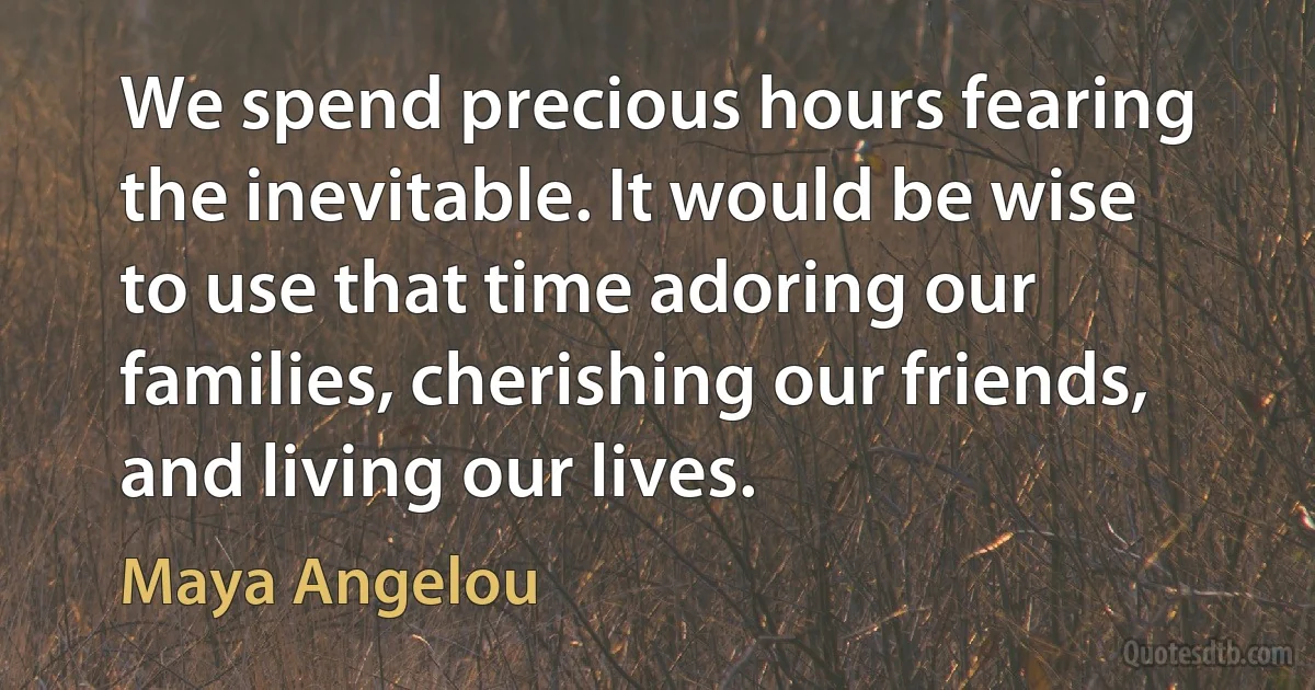 We spend precious hours fearing the inevitable. It would be wise to use that time adoring our families, cherishing our friends, and living our lives. (Maya Angelou)