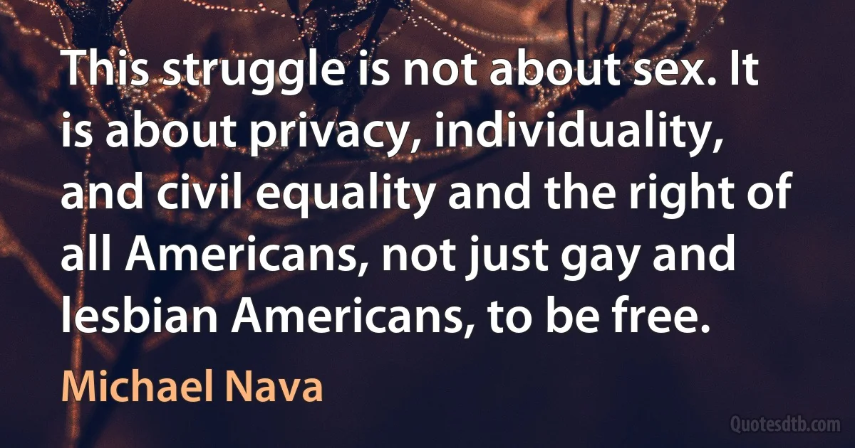 This struggle is not about sex. It is about privacy, individuality, and civil equality and the right of all Americans, not just gay and lesbian Americans, to be free. (Michael Nava)