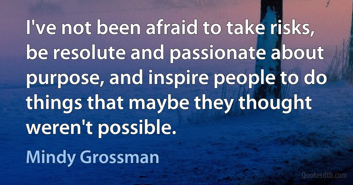 I've not been afraid to take risks, be resolute and passionate about purpose, and inspire people to do things that maybe they thought weren't possible. (Mindy Grossman)