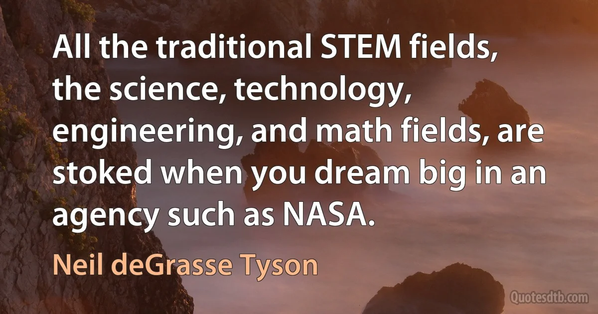 All the traditional STEM fields, the science, technology, engineering, and math fields, are stoked when you dream big in an agency such as NASA. (Neil deGrasse Tyson)