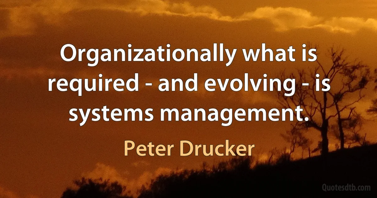 Organizationally what is required - and evolving - is systems management. (Peter Drucker)