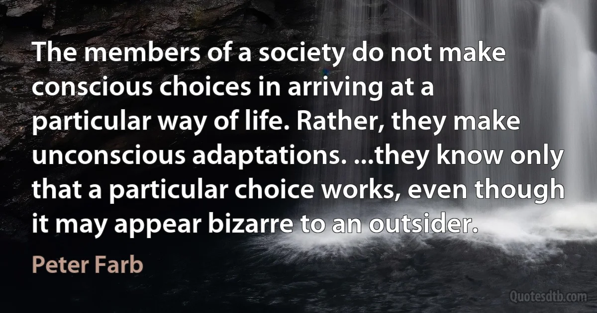 The members of a society do not make conscious choices in arriving at a particular way of life. Rather, they make unconscious adaptations. ...they know only that a particular choice works, even though it may appear bizarre to an outsider. (Peter Farb)