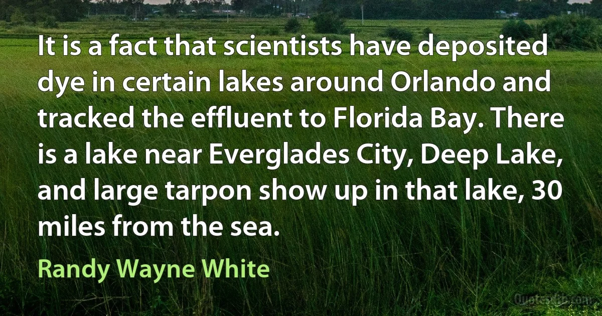 It is a fact that scientists have deposited dye in certain lakes around Orlando and tracked the effluent to Florida Bay. There is a lake near Everglades City, Deep Lake, and large tarpon show up in that lake, 30 miles from the sea. (Randy Wayne White)