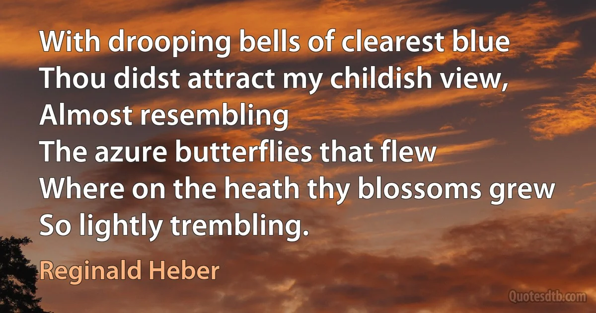 With drooping bells of clearest blue
Thou didst attract my childish view,
Almost resembling
The azure butterflies that flew
Where on the heath thy blossoms grew
So lightly trembling. (Reginald Heber)