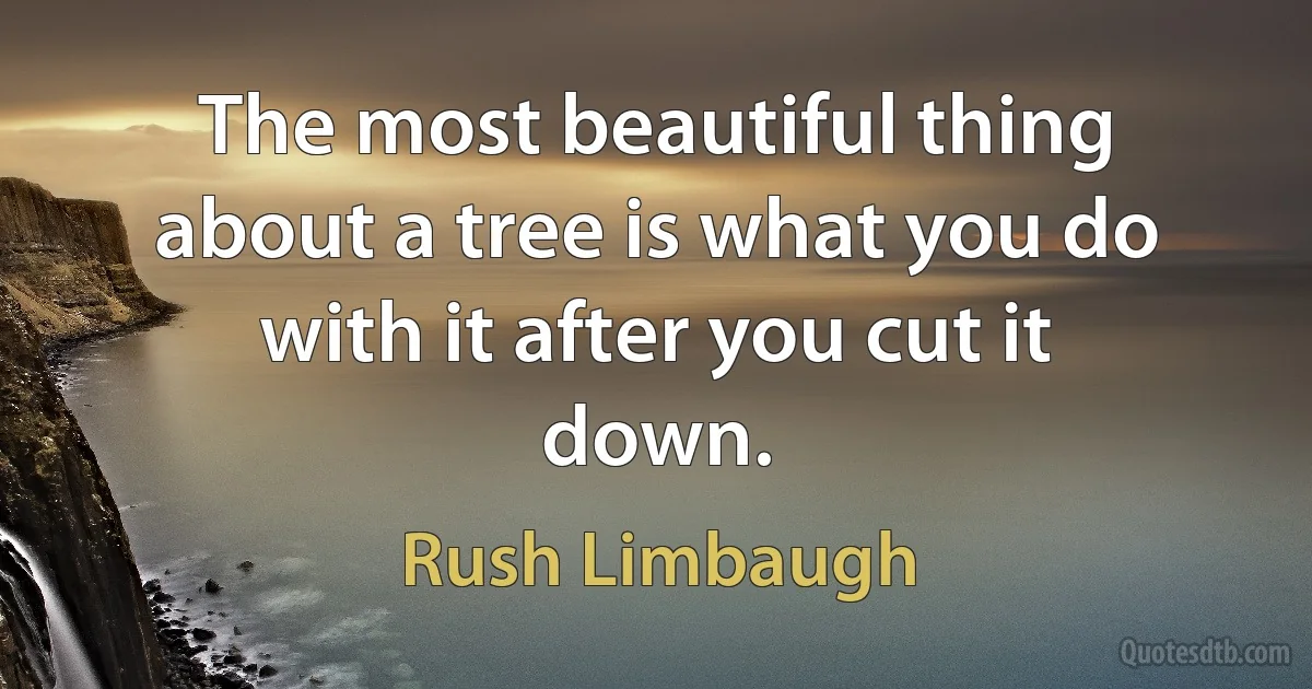 The most beautiful thing about a tree is what you do with it after you cut it down. (Rush Limbaugh)