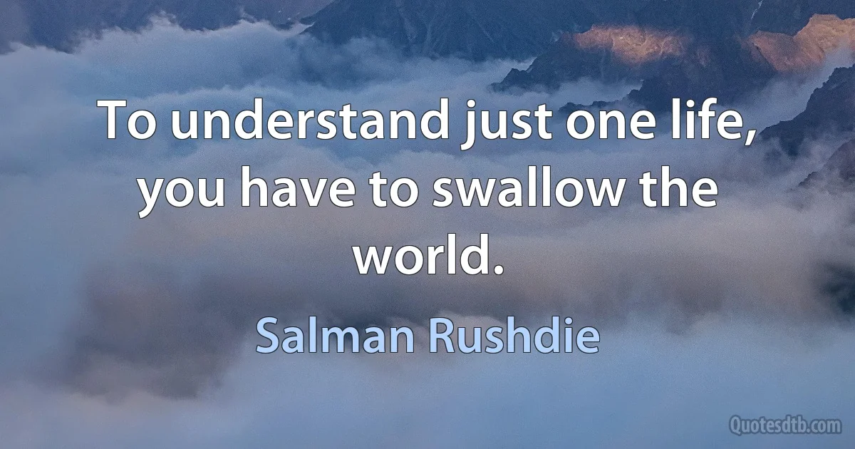 To understand just one life, you have to swallow the world. (Salman Rushdie)