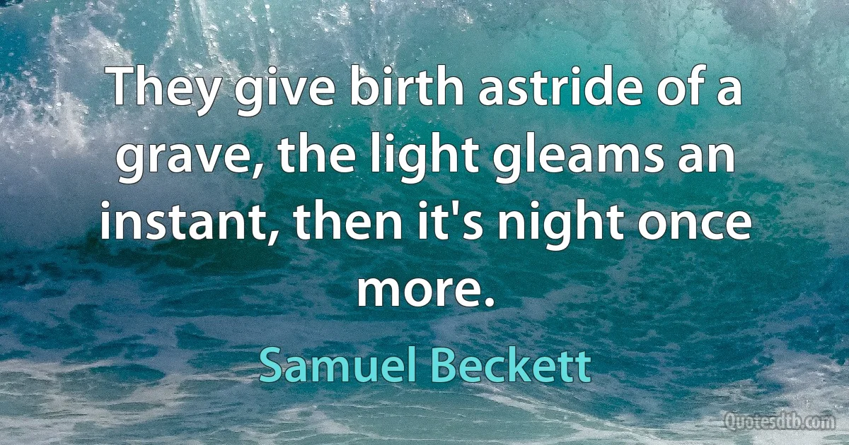 They give birth astride of a grave, the light gleams an instant, then it's night once more. (Samuel Beckett)