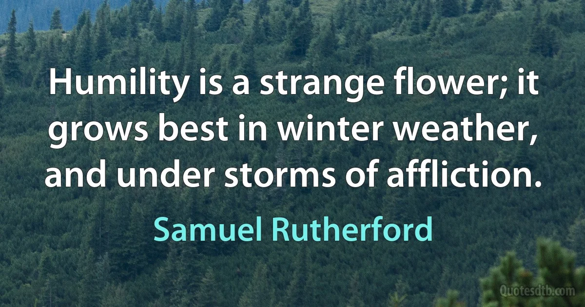 Humility is a strange flower; it grows best in winter weather, and under storms of affliction. (Samuel Rutherford)