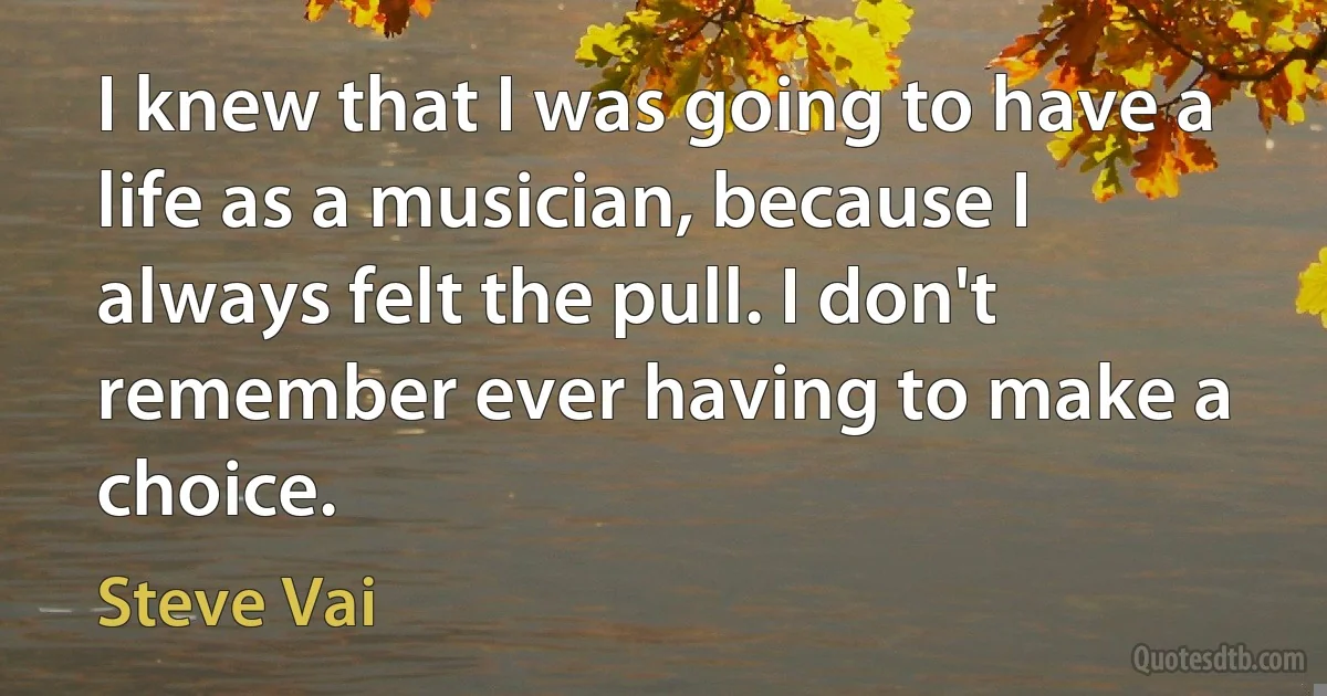 I knew that I was going to have a life as a musician, because I always felt the pull. I don't remember ever having to make a choice. (Steve Vai)