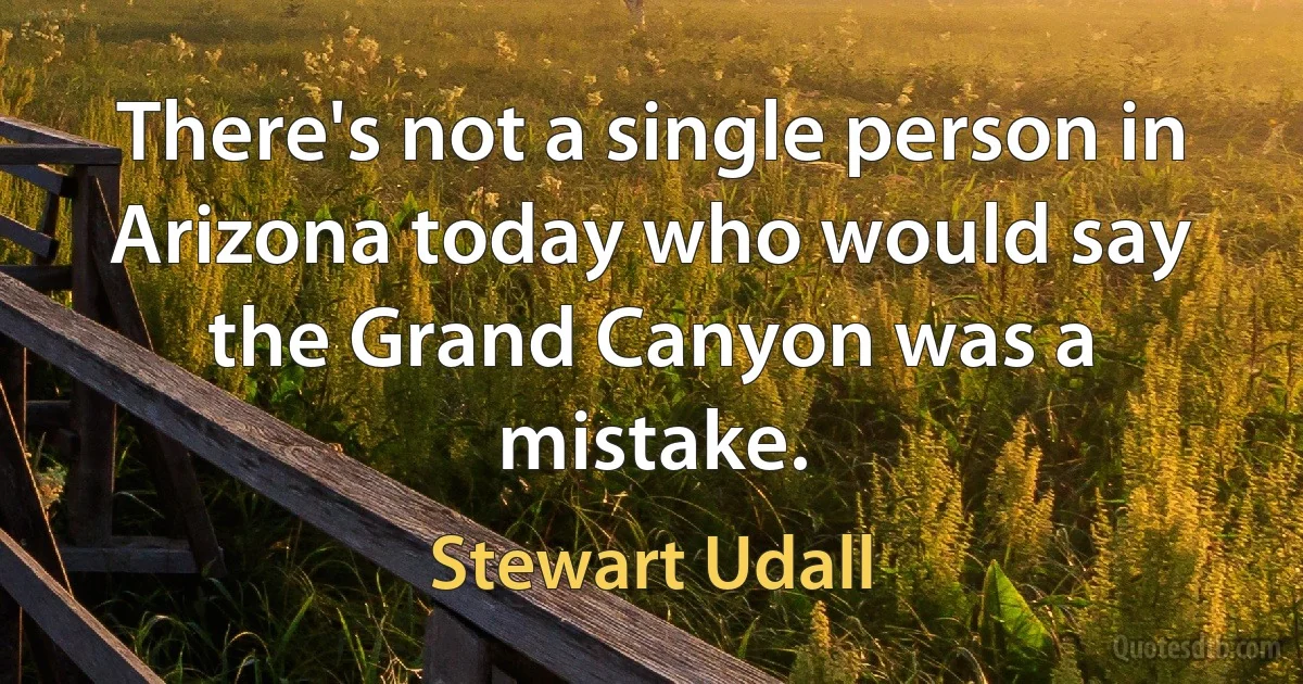 There's not a single person in Arizona today who would say the Grand Canyon was a mistake. (Stewart Udall)