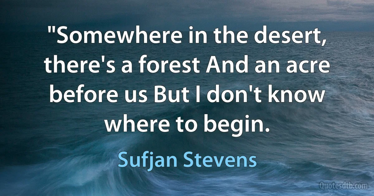 "Somewhere in the desert, there's a forest And an acre before us But I don't know where to begin. (Sufjan Stevens)