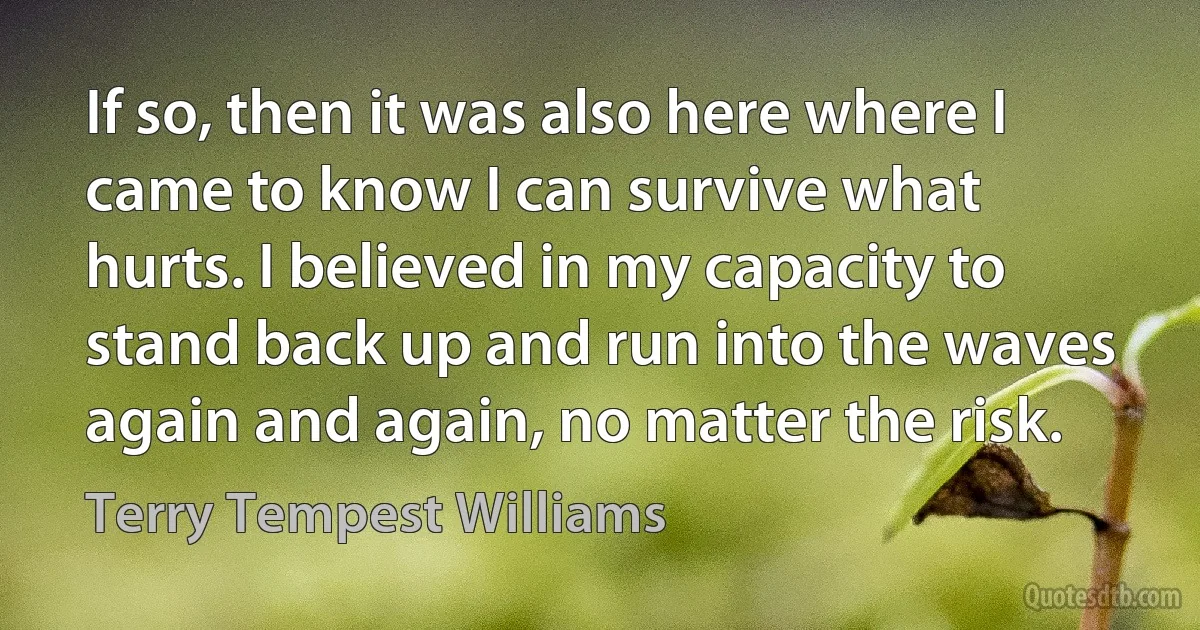 If so, then it was also here where I came to know I can survive what hurts. I believed in my capacity to stand back up and run into the waves again and again, no matter the risk. (Terry Tempest Williams)