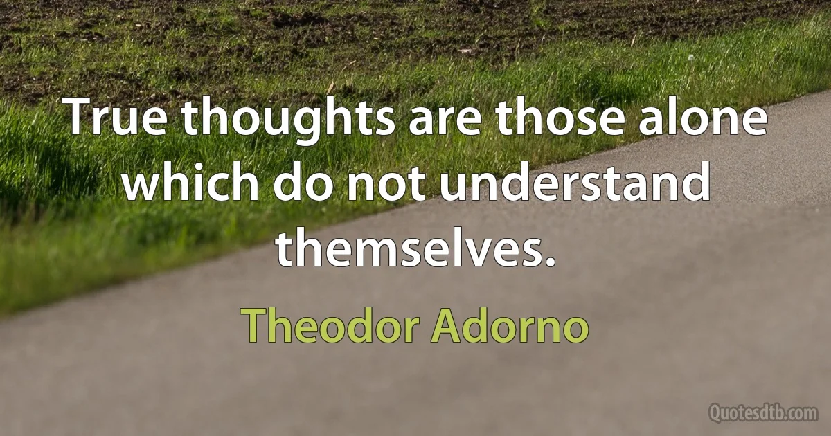 True thoughts are those alone which do not understand themselves. (Theodor Adorno)