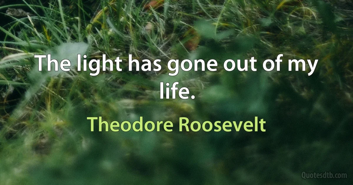 The light has gone out of my life. (Theodore Roosevelt)