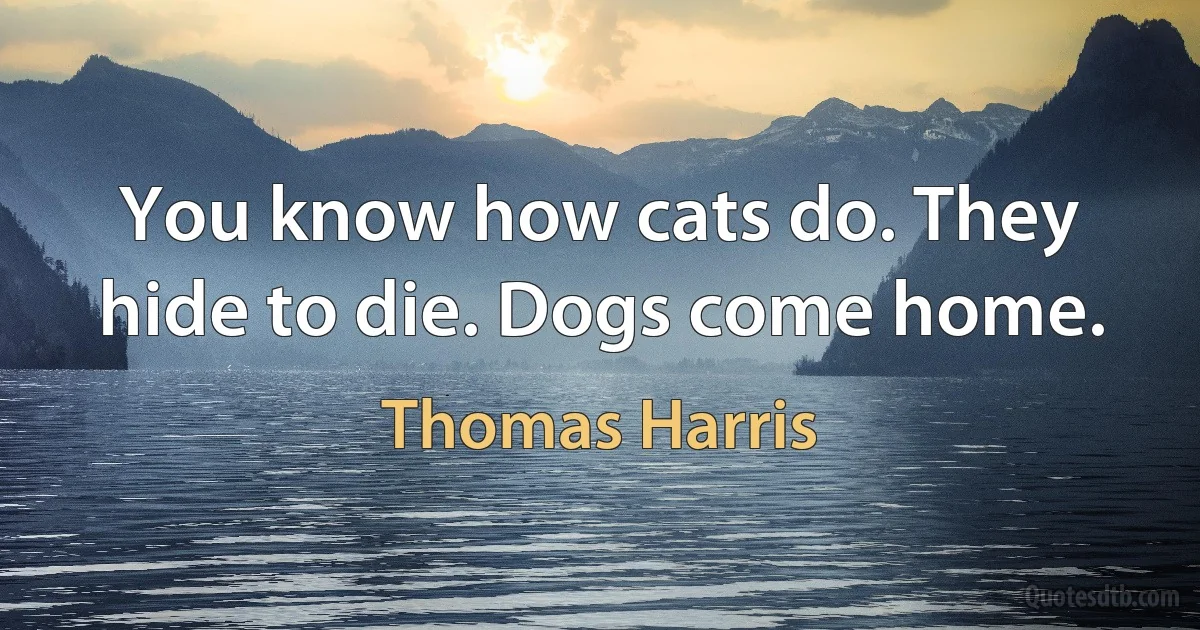 You know how cats do. They hide to die. Dogs come home. (Thomas Harris)