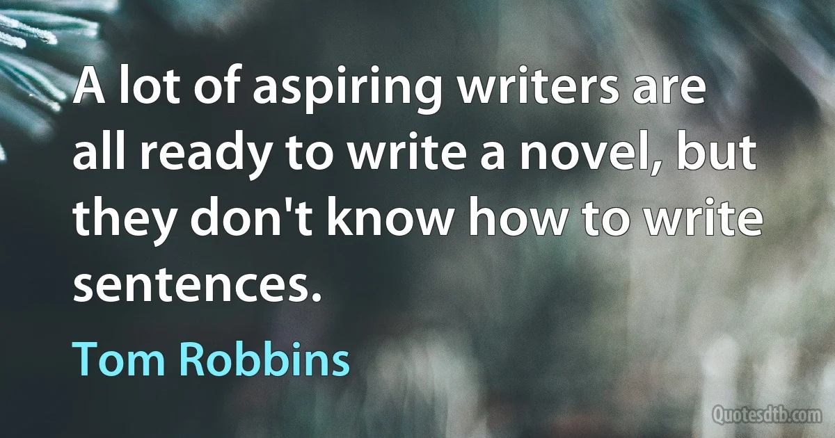 A lot of aspiring writers are all ready to write a novel, but they don't know how to write sentences. (Tom Robbins)