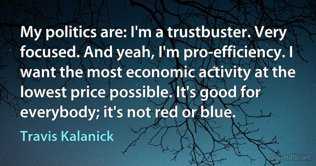 My politics are: I'm a trustbuster. Very focused. And yeah, I'm pro-efficiency. I want the most economic activity at the lowest price possible. It's good for everybody; it's not red or blue. (Travis Kalanick)