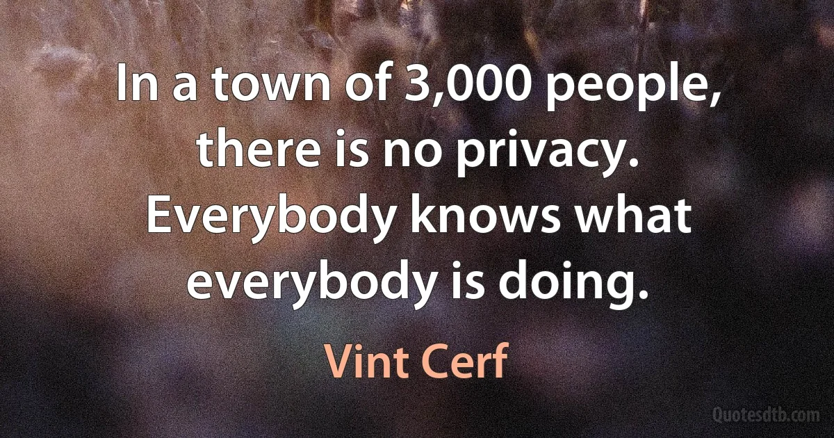 In a town of 3,000 people, there is no privacy. Everybody knows what everybody is doing. (Vint Cerf)