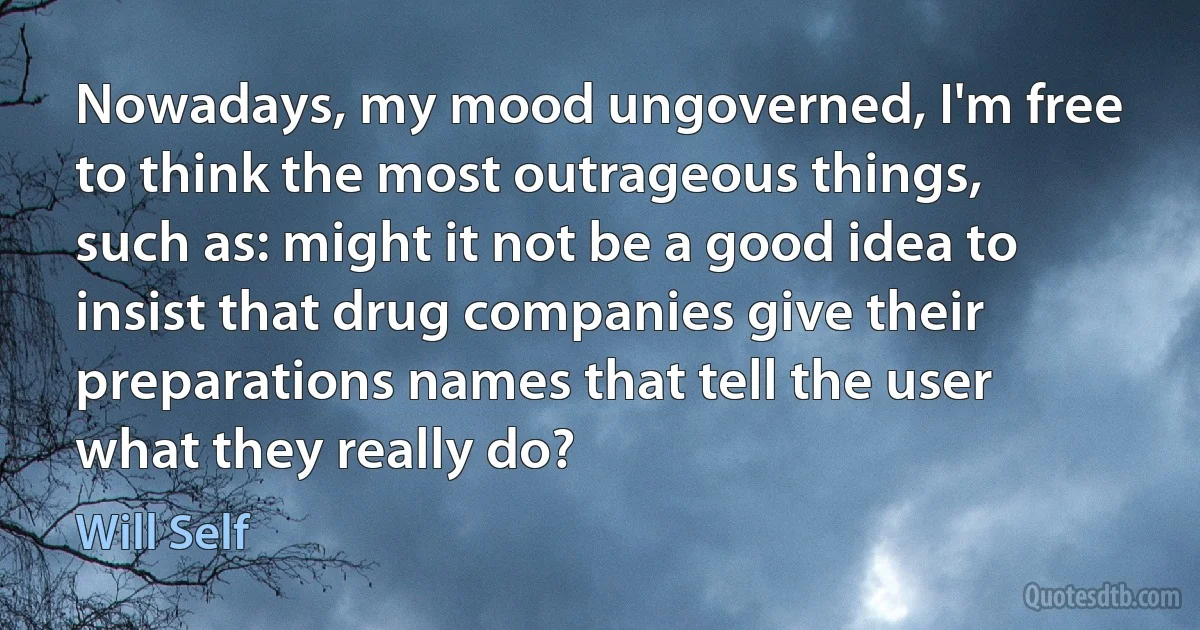 Nowadays, my mood ungoverned, I'm free to think the most outrageous things, such as: might it not be a good idea to insist that drug companies give their preparations names that tell the user what they really do? (Will Self)