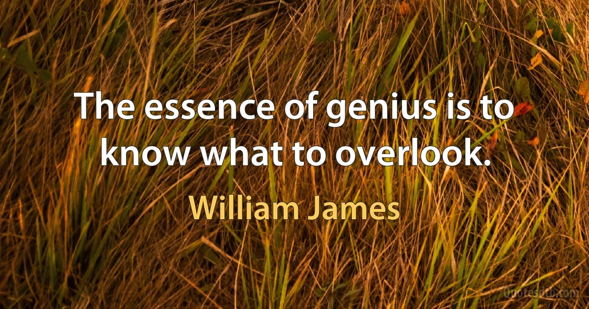 The essence of genius is to know what to overlook. (William James)