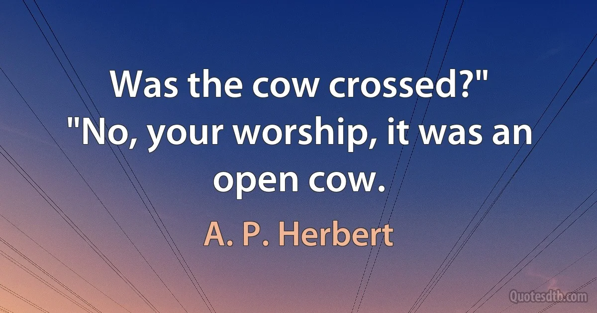 Was the cow crossed?"
"No, your worship, it was an open cow. (A. P. Herbert)