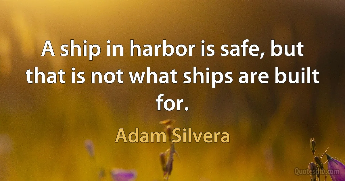 A ship in harbor is safe, but that is not what ships are built for. (Adam Silvera)