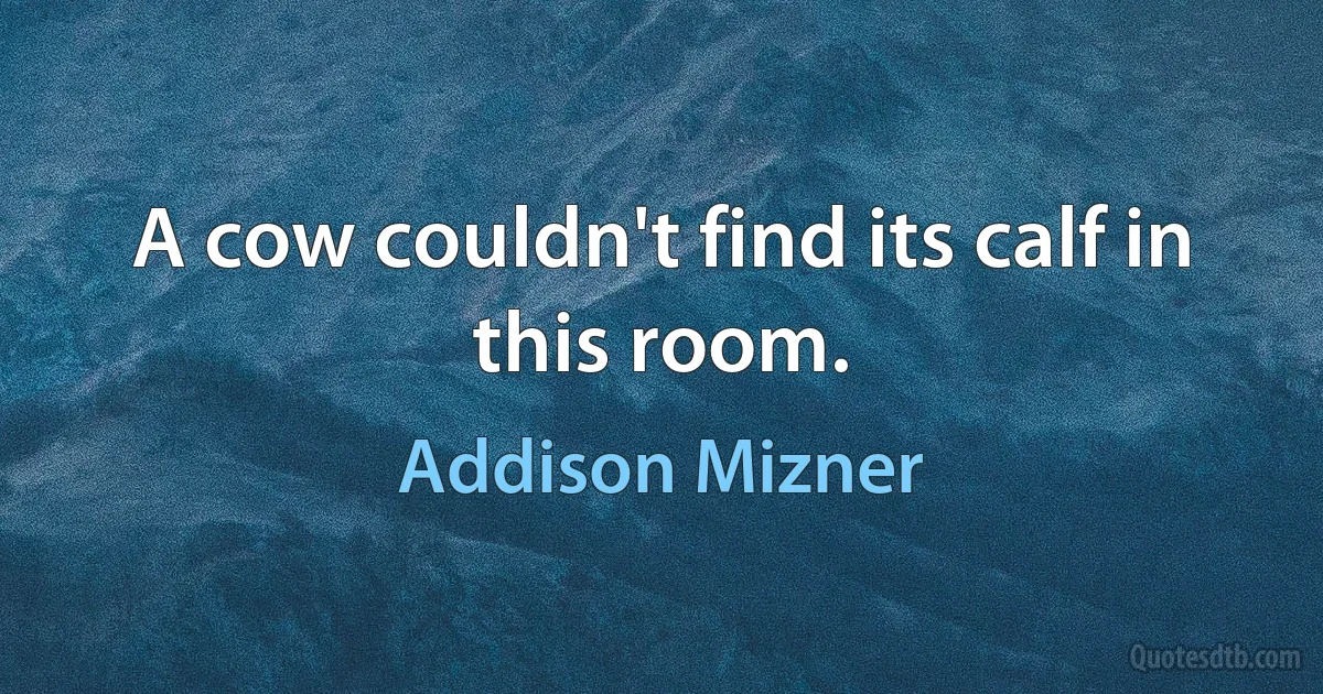 A cow couldn't find its calf in this room. (Addison Mizner)