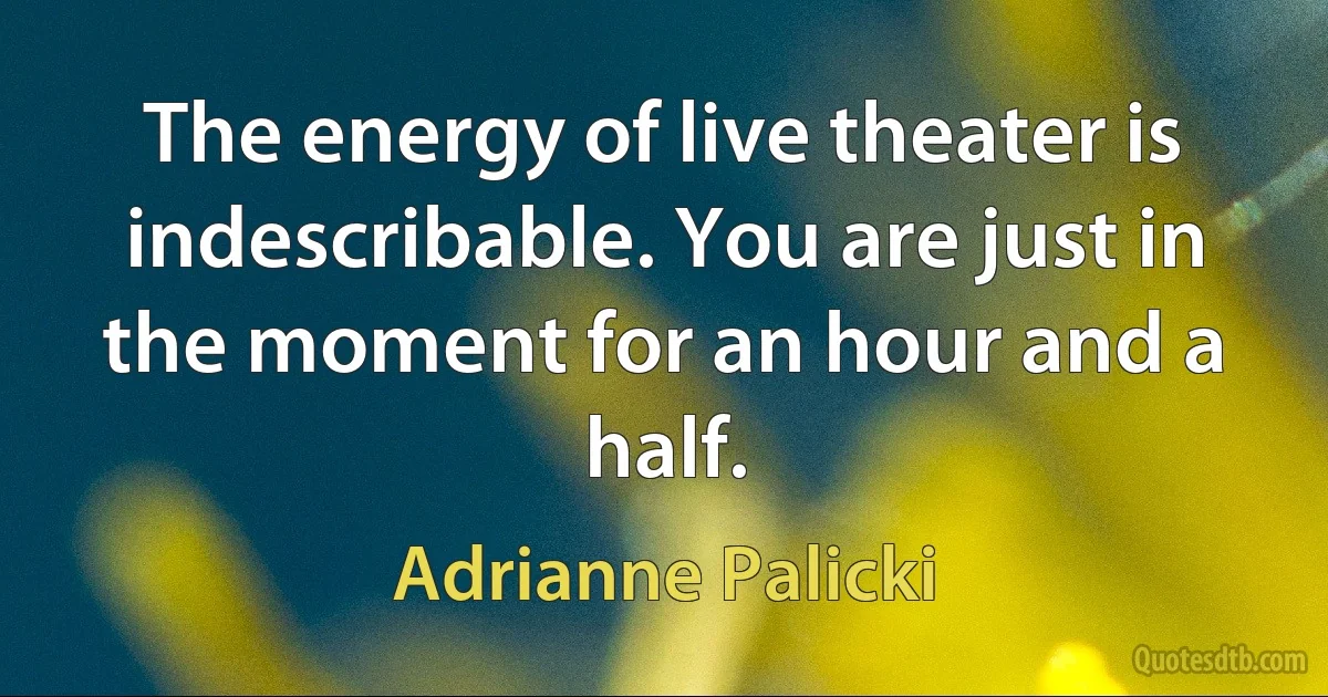 The energy of live theater is indescribable. You are just in the moment for an hour and a half. (Adrianne Palicki)