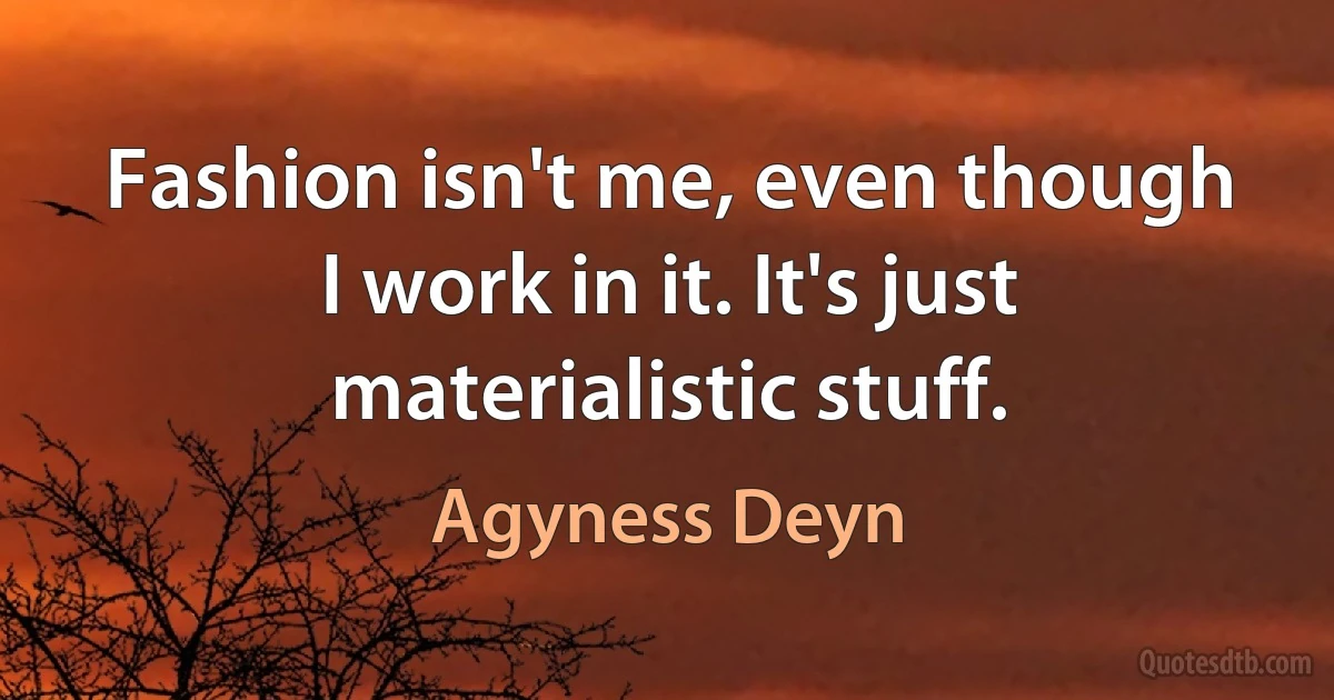 Fashion isn't me, even though I work in it. It's just materialistic stuff. (Agyness Deyn)