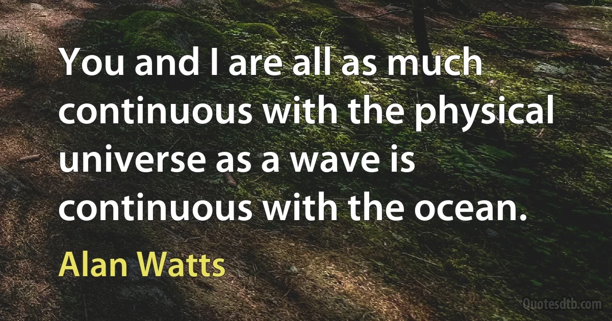 You and I are all as much continuous with the physical universe as a wave is continuous with the ocean. (Alan Watts)