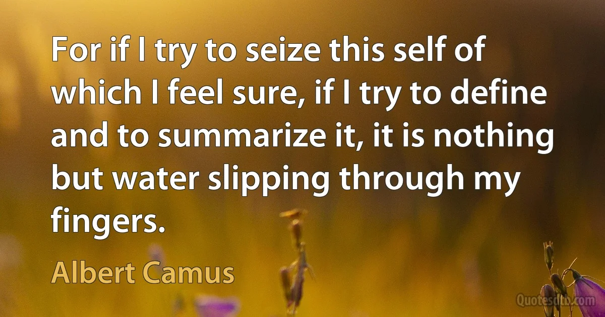 For if I try to seize this self of which I feel sure, if I try to define and to summarize it, it is nothing but water slipping through my fingers. (Albert Camus)