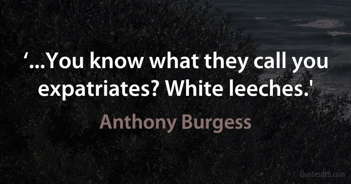 ‘...You know what they call you expatriates? White leeches.' (Anthony Burgess)