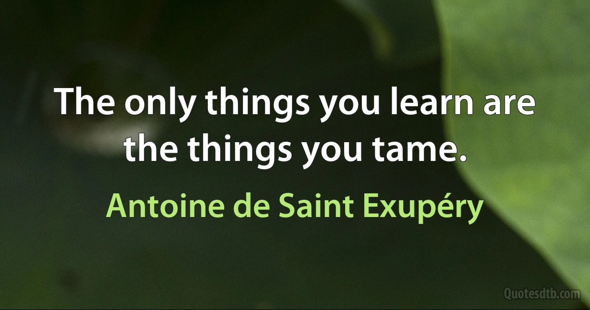 The only things you learn are the things you tame. (Antoine de Saint Exupéry)