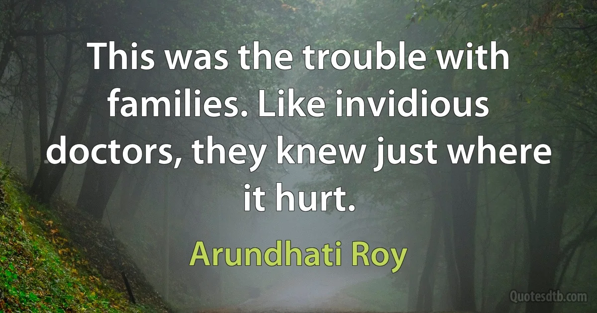 This was the trouble with families. Like invidious doctors, they knew just where it hurt. (Arundhati Roy)