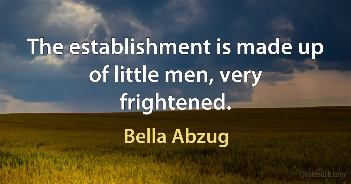 The establishment is made up of little men, very frightened. (Bella Abzug)