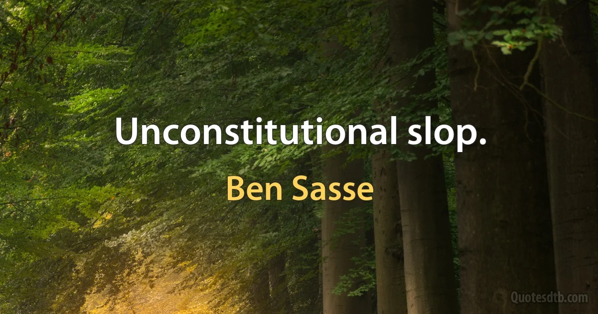 Unconstitutional slop. (Ben Sasse)