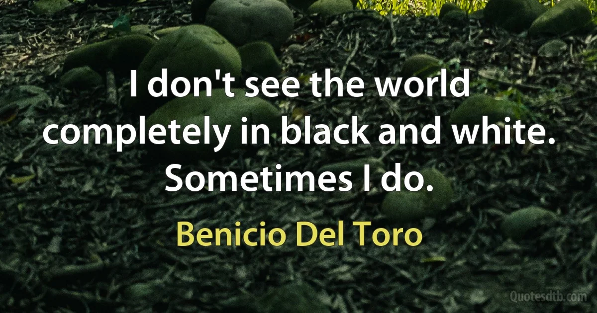 I don't see the world completely in black and white. Sometimes I do. (Benicio Del Toro)