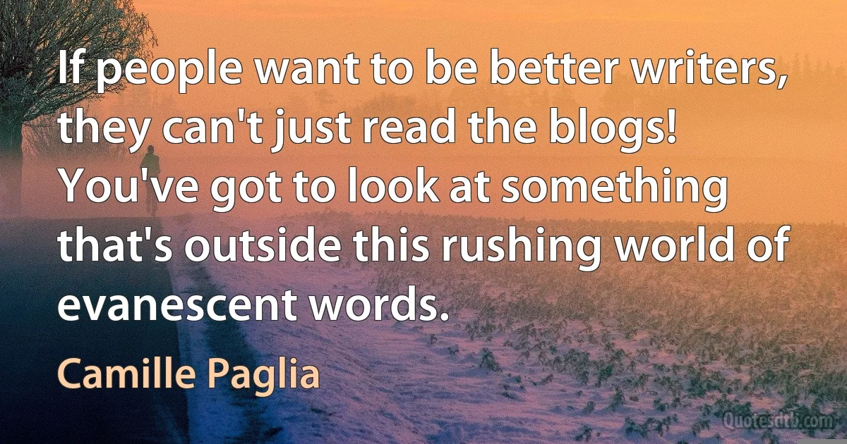 If people want to be better writers, they can't just read the blogs! You've got to look at something that's outside this rushing world of evanescent words. (Camille Paglia)