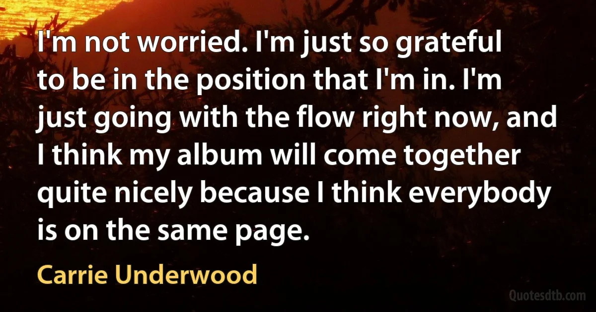 I'm not worried. I'm just so grateful to be in the position that I'm in. I'm just going with the flow right now, and I think my album will come together quite nicely because I think everybody is on the same page. (Carrie Underwood)