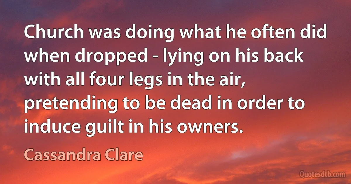 Church was doing what he often did when dropped - lying on his back with all four legs in the air, pretending to be dead in order to induce guilt in his owners. (Cassandra Clare)