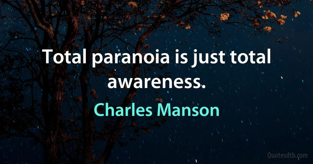 Total paranoia is just total awareness. (Charles Manson)