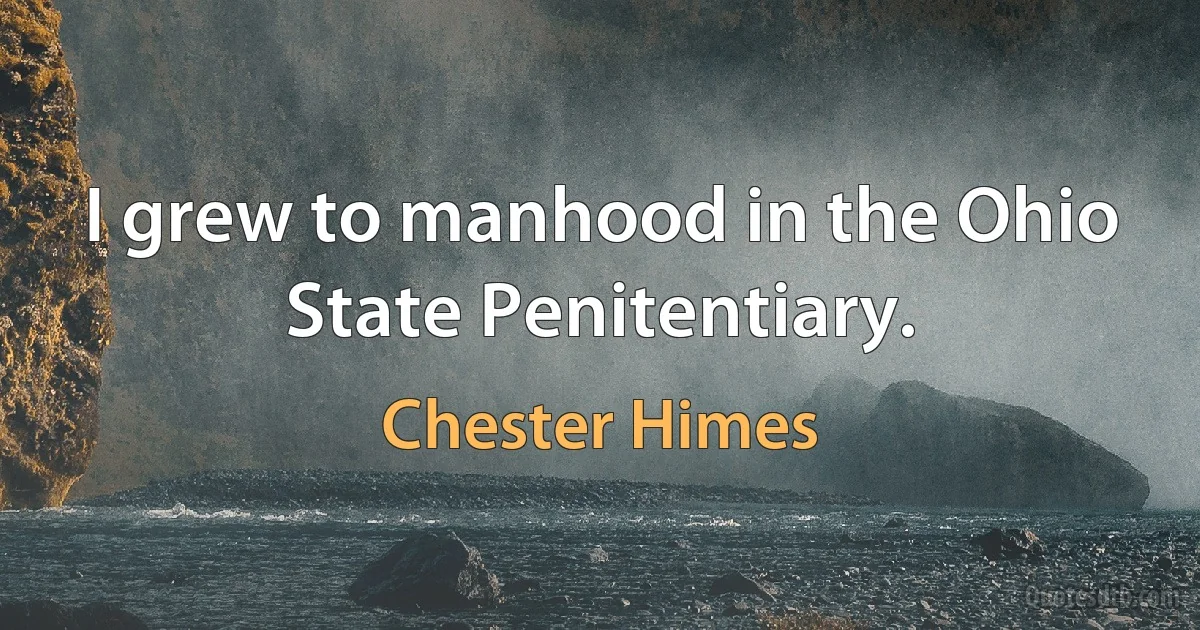 I grew to manhood in the Ohio State Penitentiary. (Chester Himes)