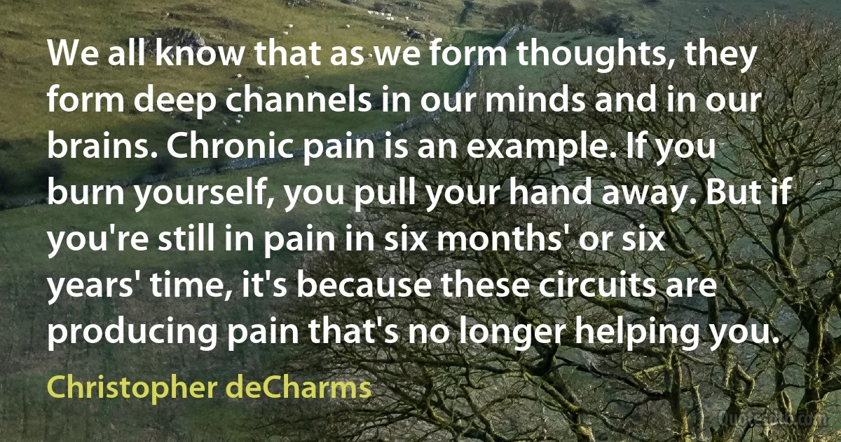 We all know that as we form thoughts, they form deep channels in our minds and in our brains. Chronic pain is an example. If you burn yourself, you pull your hand away. But if you're still in pain in six months' or six years' time, it's because these circuits are producing pain that's no longer helping you. (Christopher deCharms)