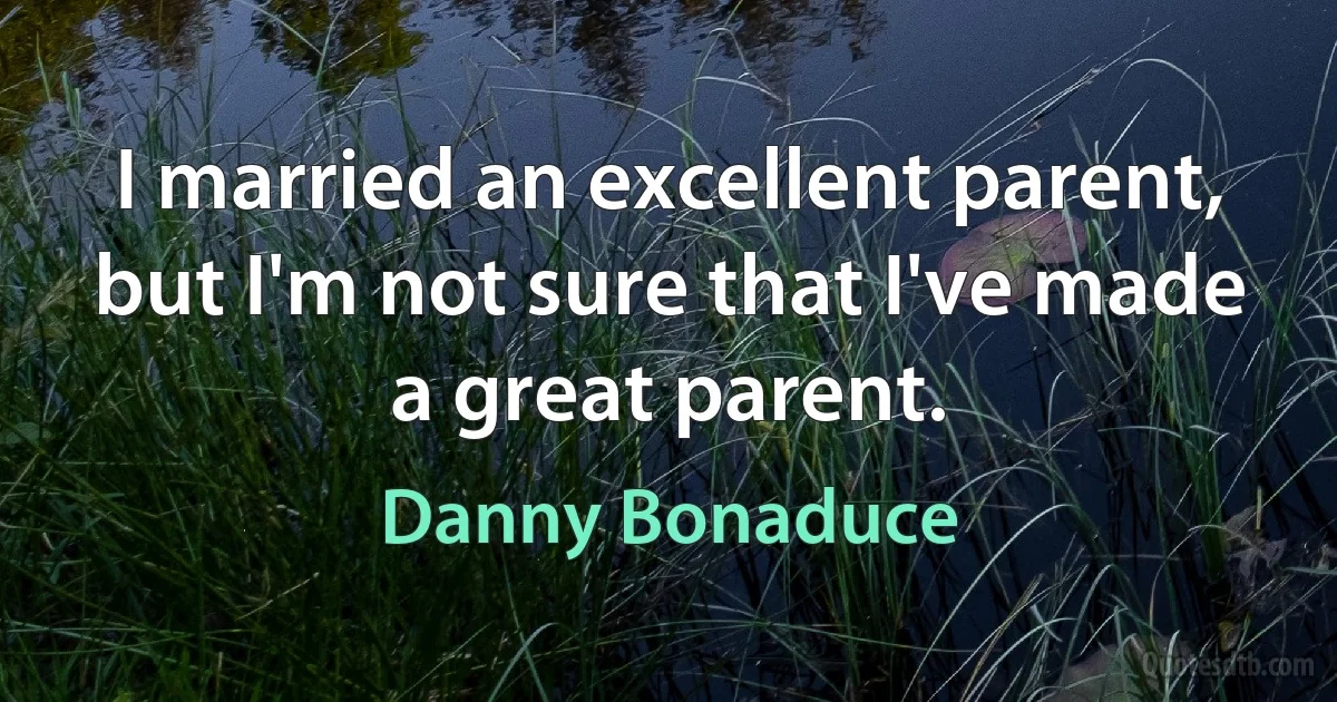 I married an excellent parent, but I'm not sure that I've made a great parent. (Danny Bonaduce)