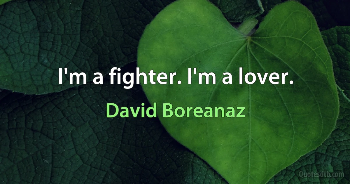 I'm a fighter. I'm a lover. (David Boreanaz)