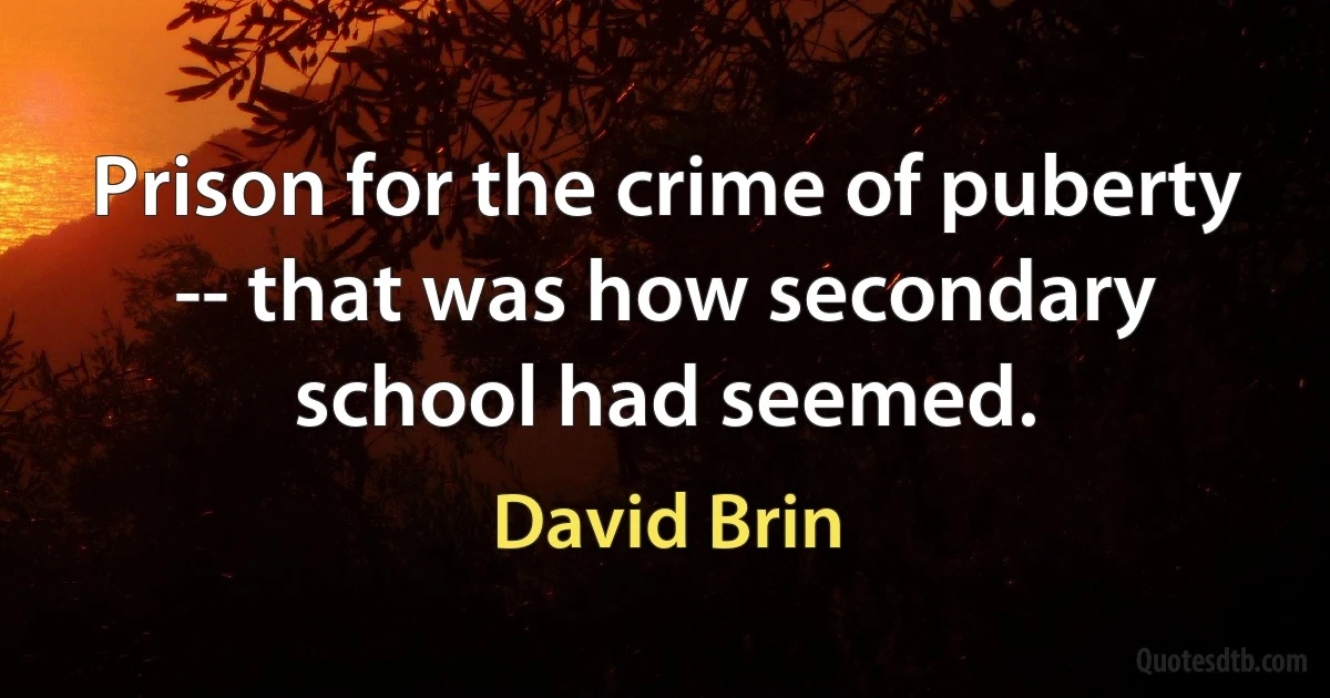 Prison for the crime of puberty -- that was how secondary school had seemed. (David Brin)