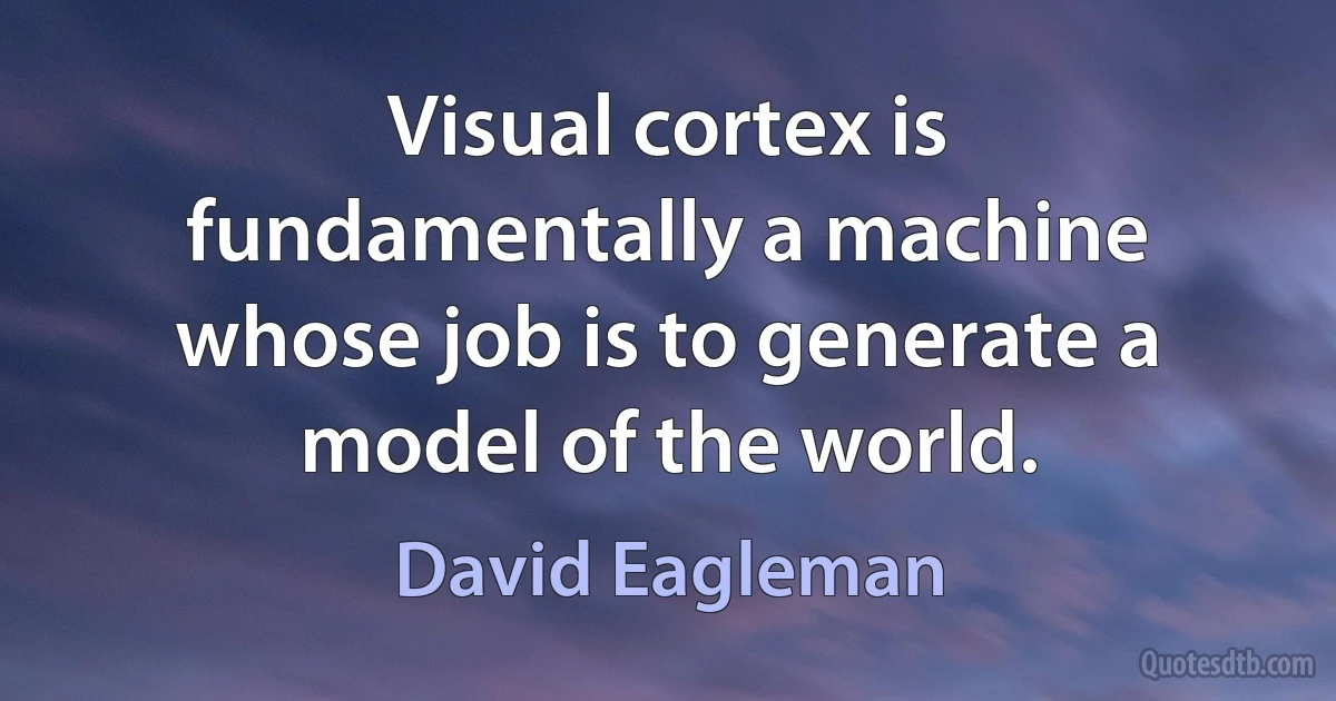 Visual cortex is fundamentally a machine whose job is to generate a model of the world. (David Eagleman)