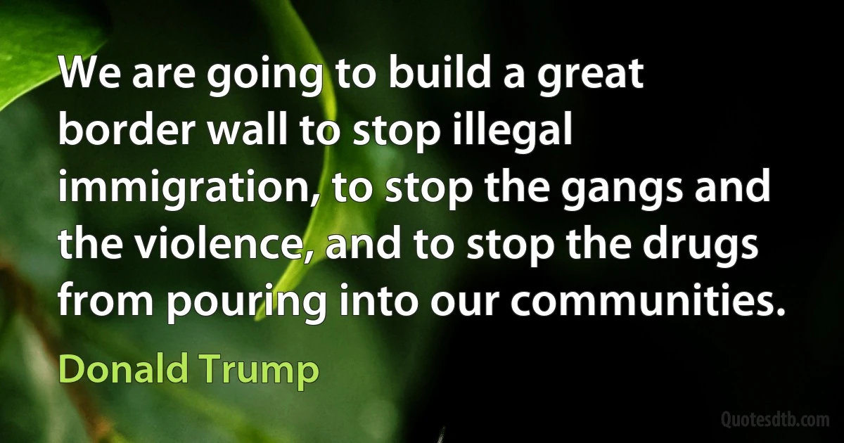 We are going to build a great border wall to stop illegal immigration, to stop the gangs and the violence, and to stop the drugs from pouring into our communities. (Donald Trump)