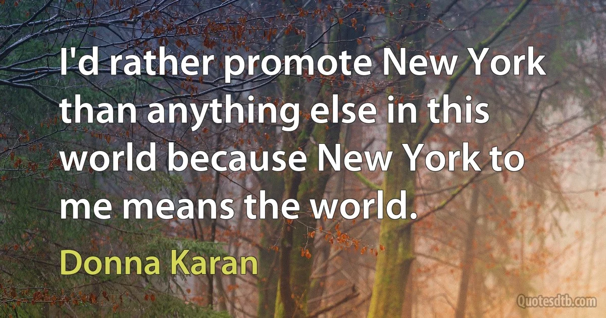 I'd rather promote New York than anything else in this world because New York to me means the world. (Donna Karan)