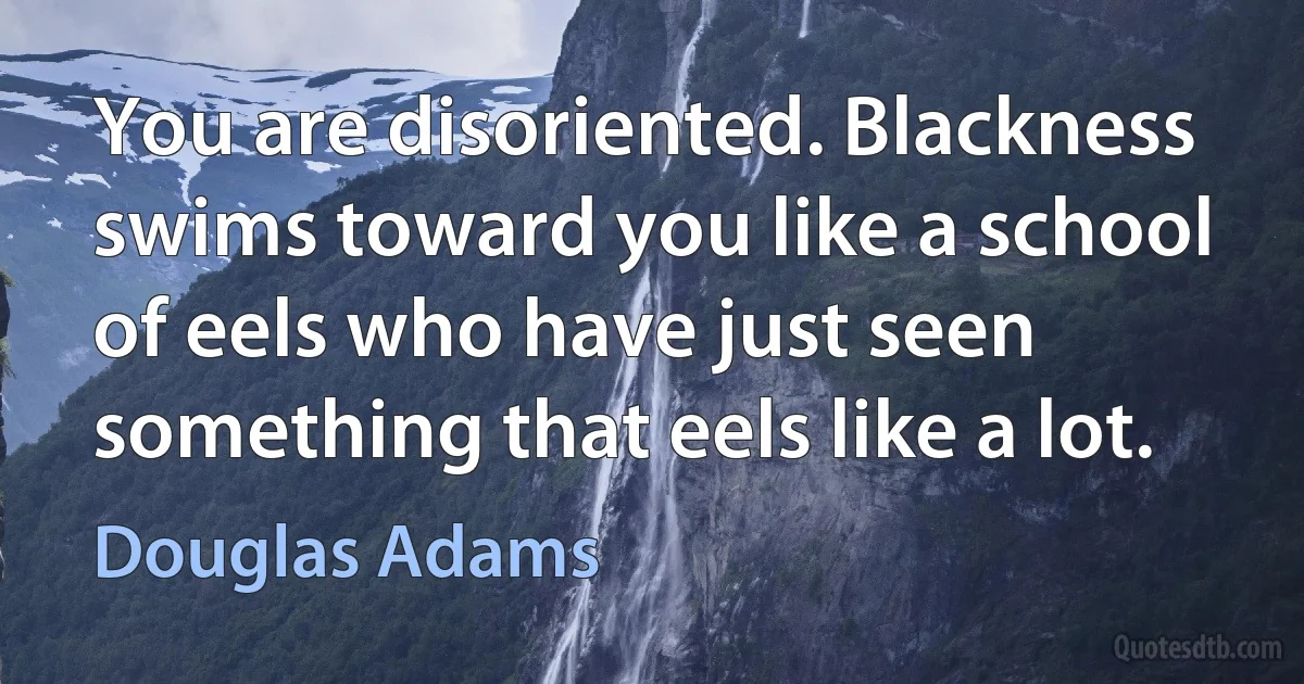 You are disoriented. Blackness swims toward you like a school of eels who have just seen something that eels like a lot. (Douglas Adams)